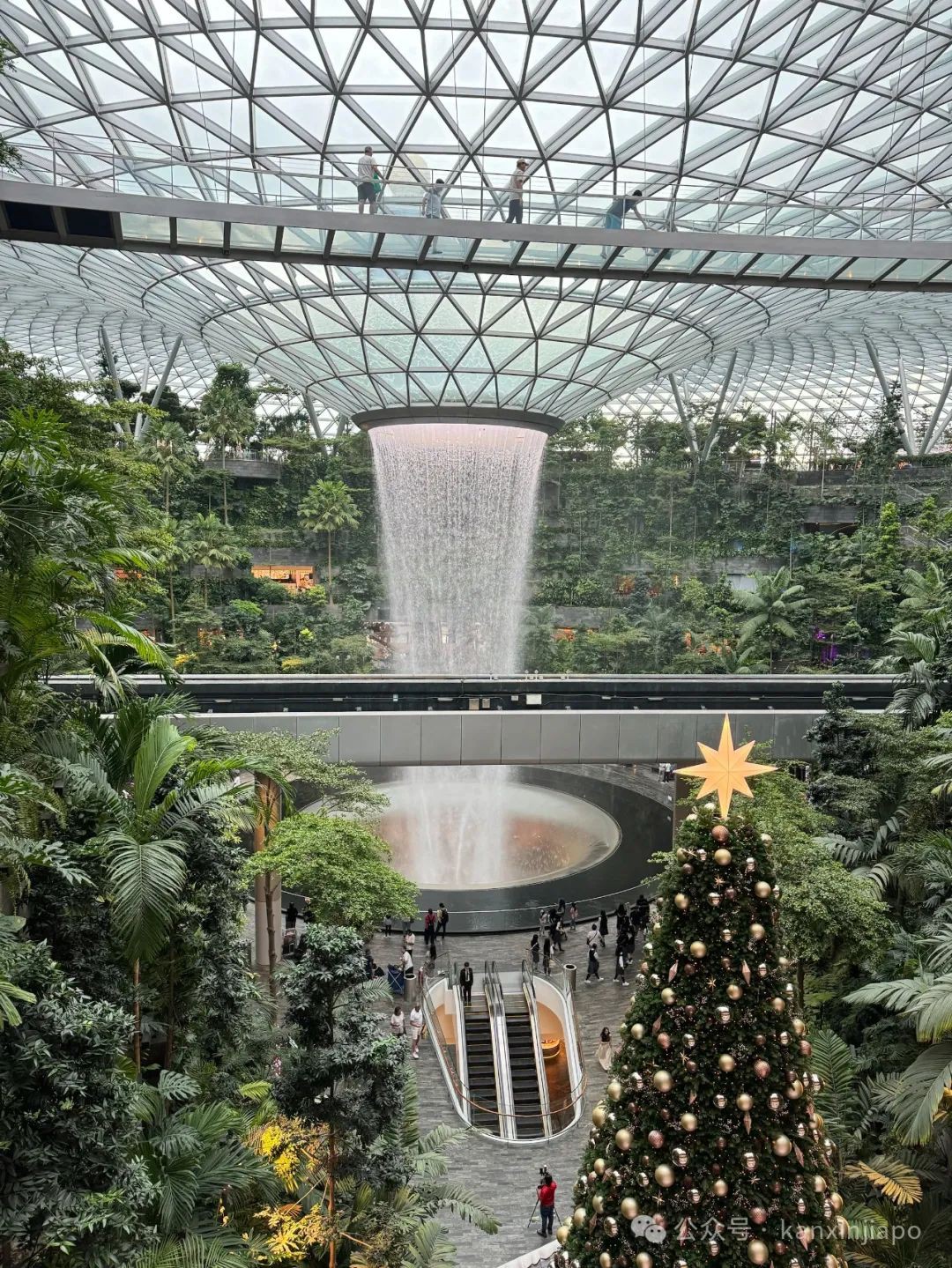 超炫酷3D餐厅,“全球最小厨师”现身樟宜机场!