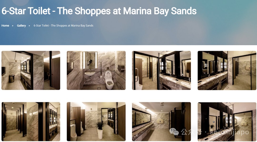 新加坡对厕所的执念有多深.....