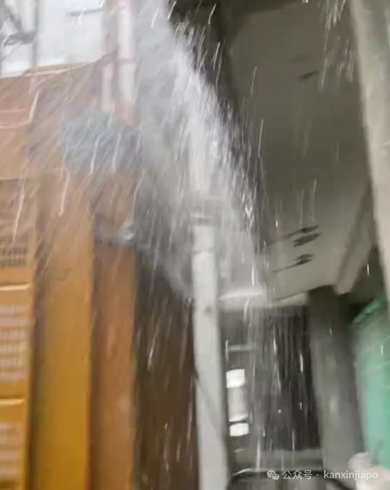 新加坡降雨量创46年新高，多地淹水！接下来两周雷雨将更加频繁