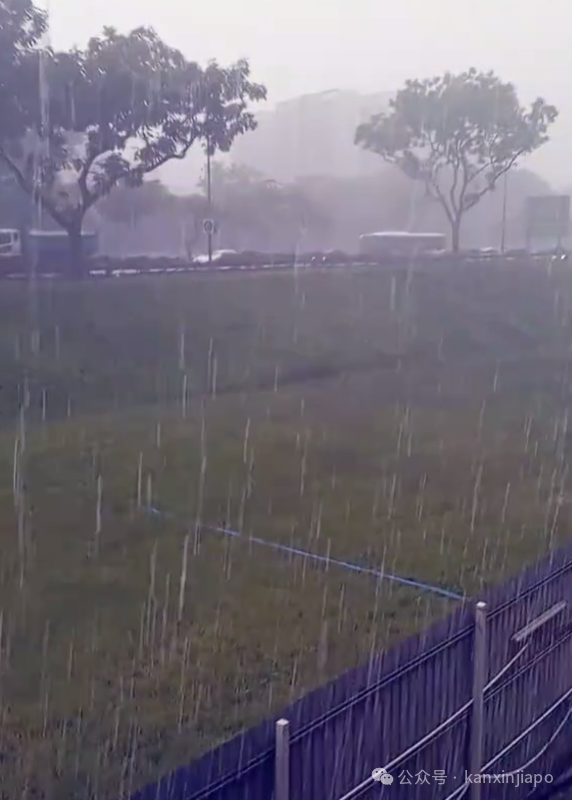 新加坡降雨量创46年新高，多地淹水！接下来两周雷雨将更加频繁