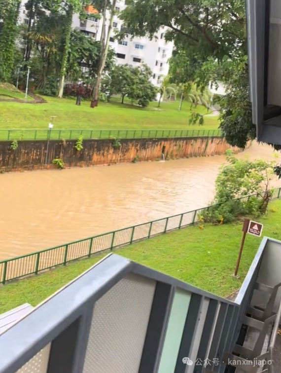 新加坡降雨量创46年新高，多地淹水！接下来两周雷雨将更加频繁