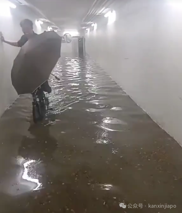 新加坡降雨量创46年新高，多地淹水！接下来两周雷雨将更加频繁