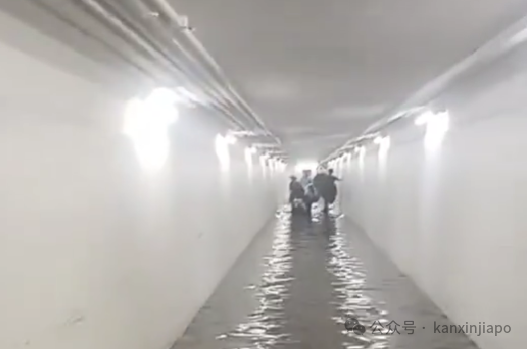 新加坡降雨量创46年新高，多地淹水！接下来两周雷雨将更加频繁