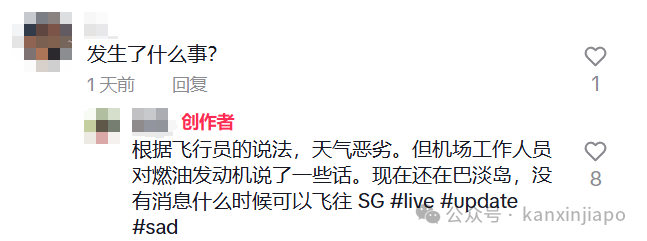 飞往新加坡航班中途备降巴淡岛近2个小时，网友支招“坐船回来更快”