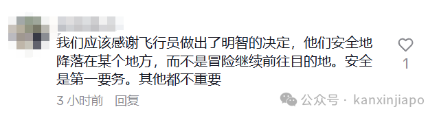 飞往新加坡航班中途备降巴淡岛近2个小时，网友支招“坐船回来更快”