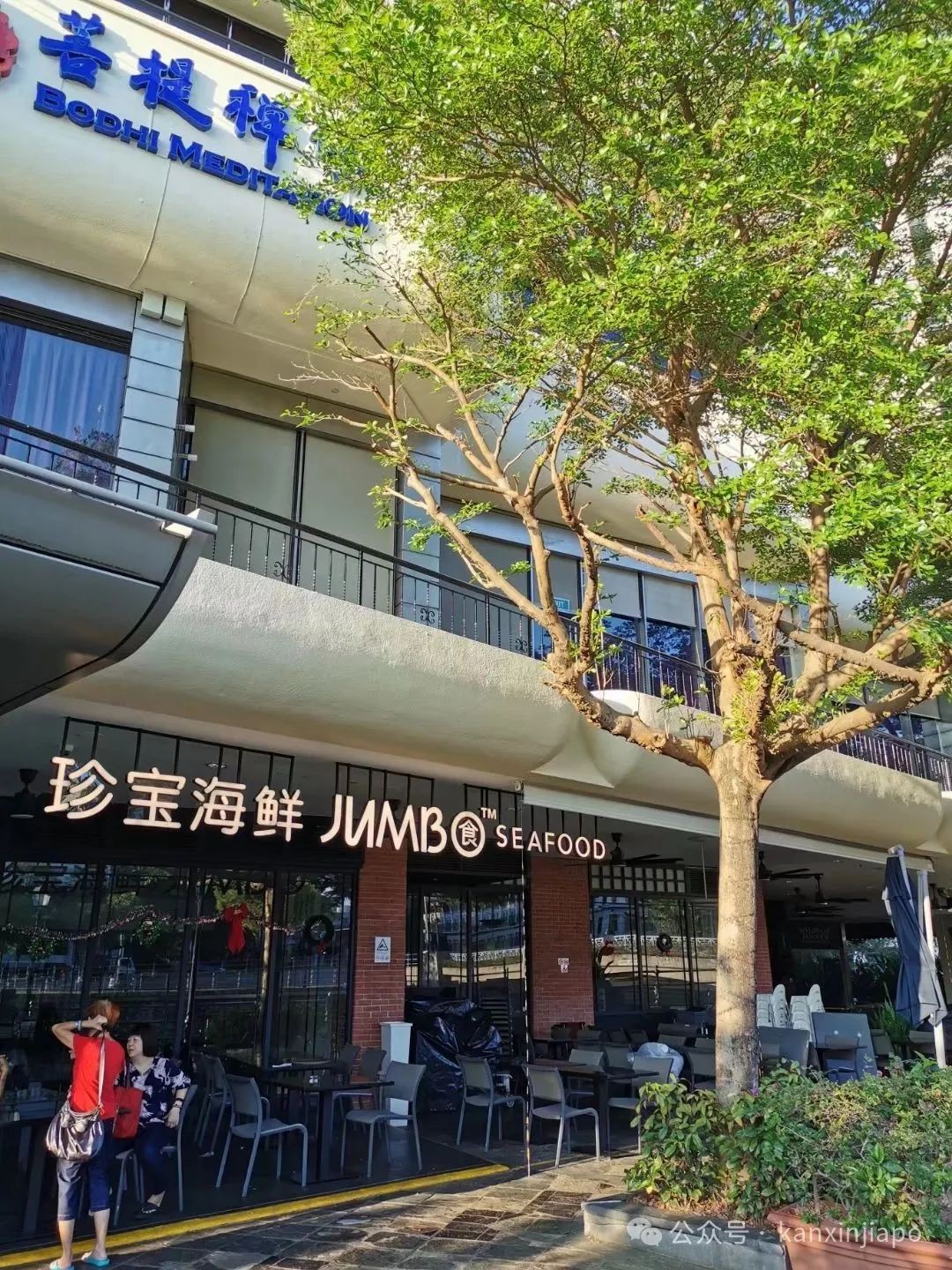 “对新加坡的印象还在5年前，组屋、东海岸、植物园都让人惊叹”