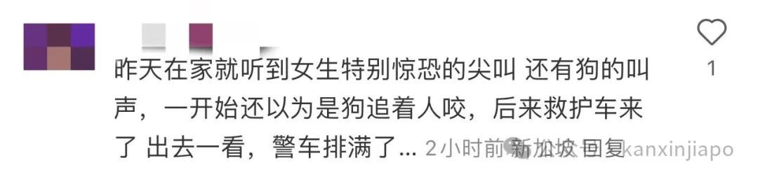 新加坡一组屋发生命案，疑凶捅死邻居后持刀追其妻子！部长探望，为死者家属发声