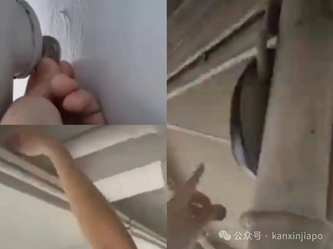 最高100万新币!一夜暴富机会来了,新加坡史上最大寻宝游戏进行中