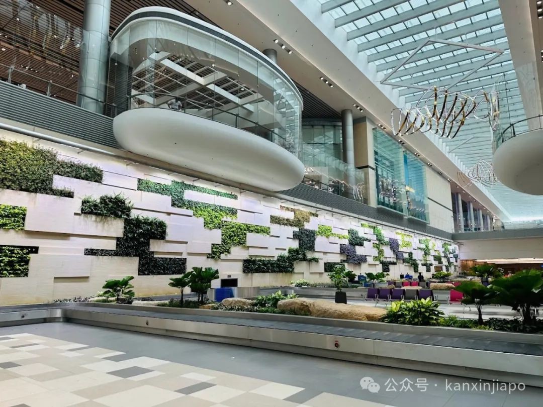 入境新加坡求庇护遭拒，美国男子暴力逃脱大闹樟宜机场数小时