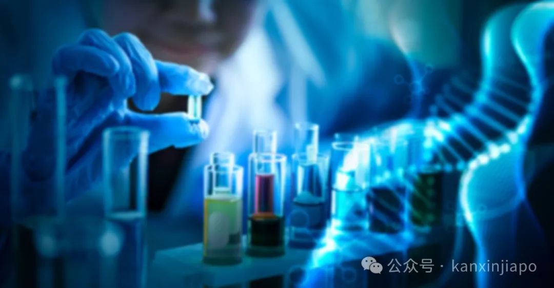 为什么这样多科技企业把海外总部设在新加坡?