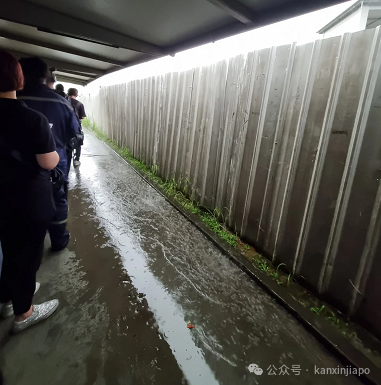 前所未有！新加坡地铁绿线出大bug了！乘客困车厢1小时，轨道徒步回月台....恢复时间未知