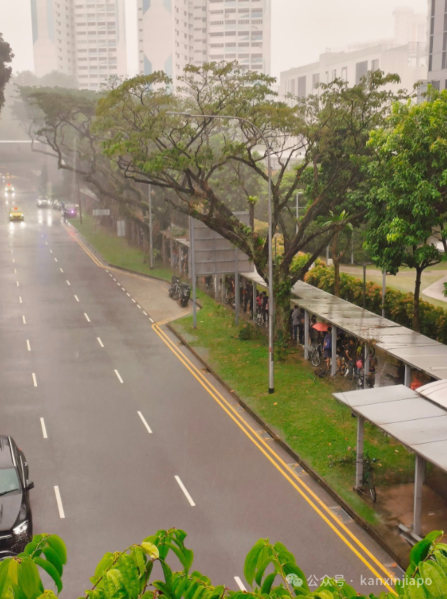 前所未有！新加坡地铁绿线出大bug了！乘客困车厢1小时，轨道徒步回月台....恢复时间未知