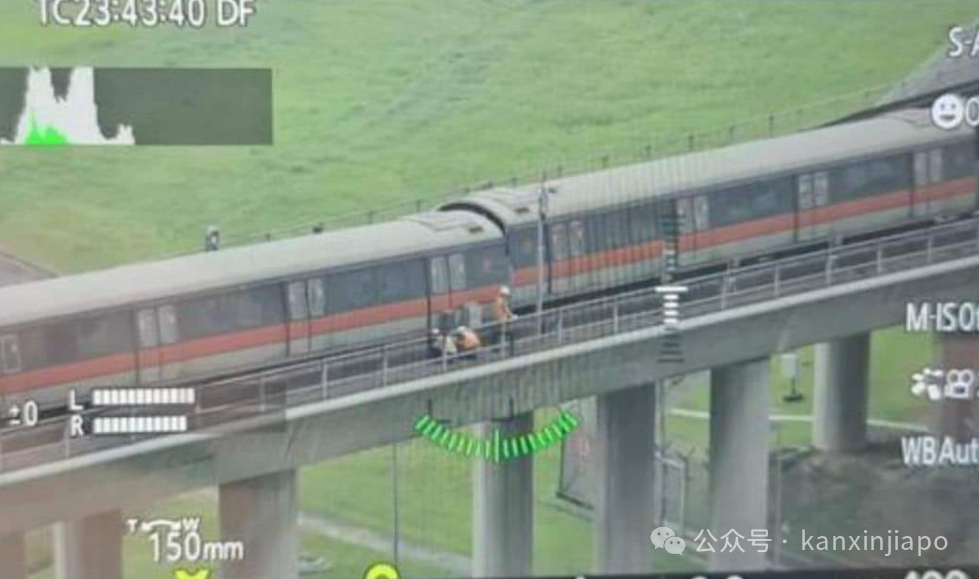 前所未有！新加坡地铁绿线出大bug了！乘客困车厢1小时，轨道徒步回月台....恢复时间未知