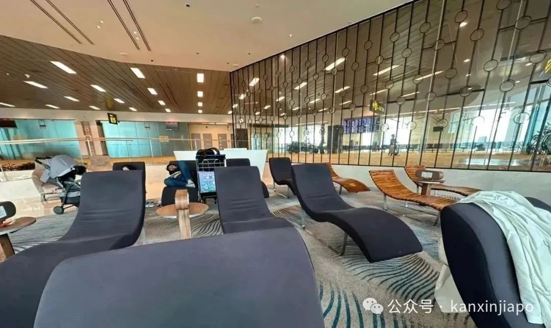 樟宜机场被评为“最上镜机场”之一,这些打卡点超出片~