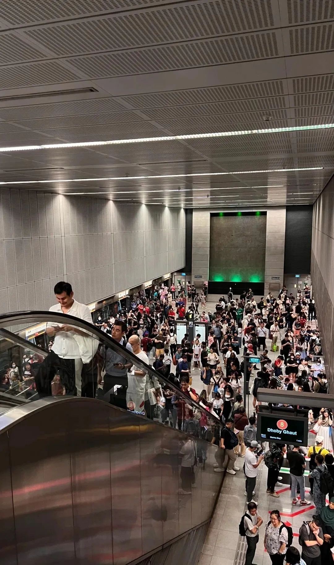 新加坡中秋夜狂风暴雨突袭!地铁瘫痪,树倒车砸,人员受伤,全岛一片混乱...