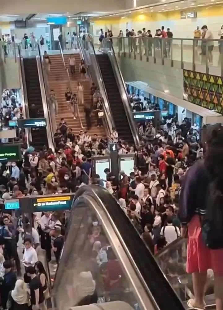 新加坡中秋夜狂风暴雨突袭!地铁瘫痪,树倒车砸,人员受伤,全岛一片混乱...