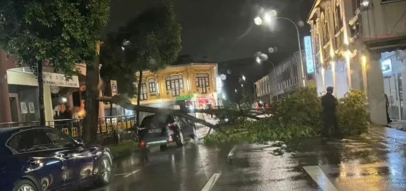 新加坡中秋夜狂风暴雨突袭!地铁瘫痪,树倒车砸,人员受伤,全岛一片混乱...