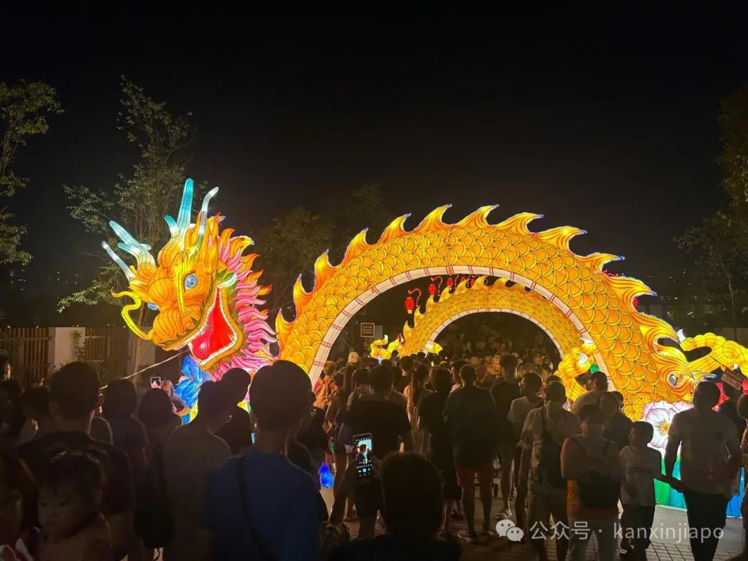 裕廊湖灯会活动精彩纷呈,尚达曼总统亲临现场