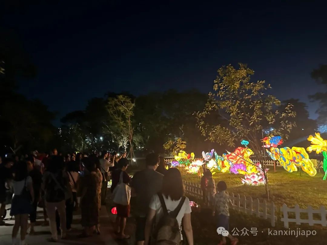 裕廊湖灯会活动精彩纷呈,尚达曼总统亲临现场