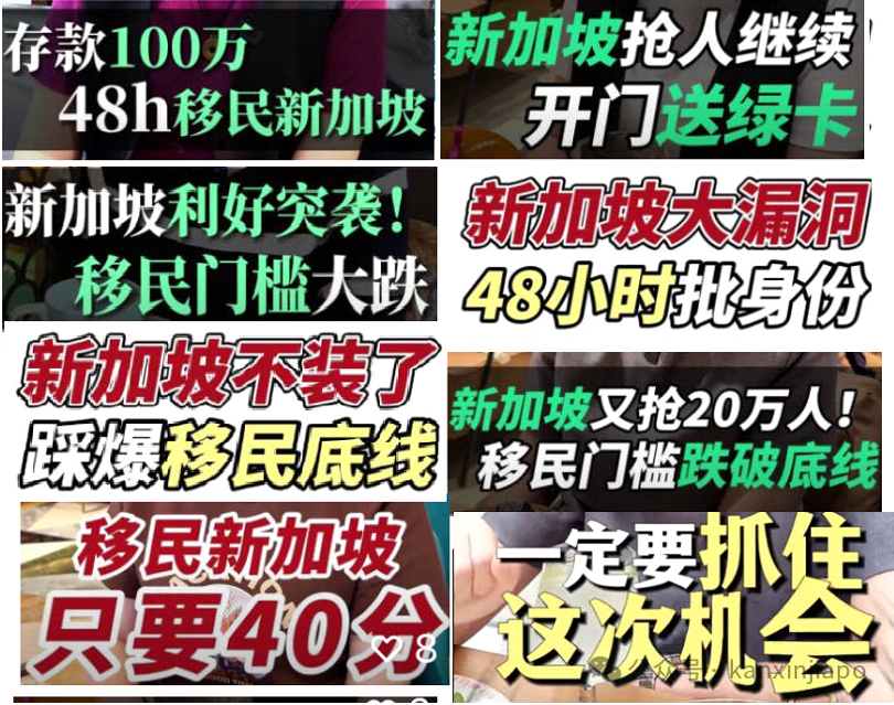 别再坑你同胞了,行不?