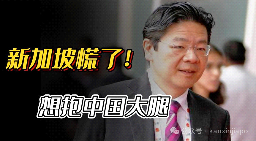 疯传“新加坡真的慌了，想抱中国大腿”，发生什么了？