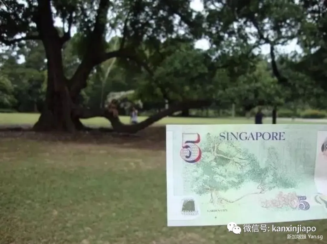 新加坡钞票上的图案竟然藏着国家的发展故事！