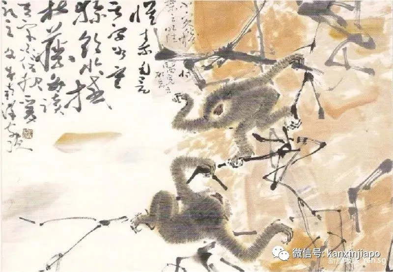 新加坡钞票上的图案竟然藏着国家的发展故事！