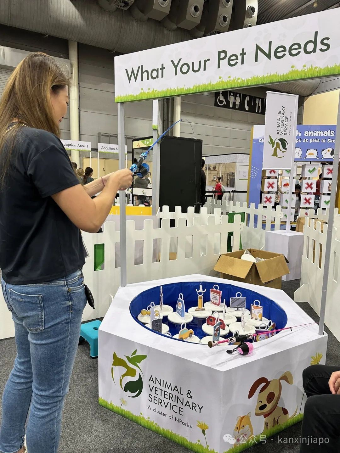 新加坡铲屎官注意！为宠物猫申请执照已开始，组屋住户也能饲养