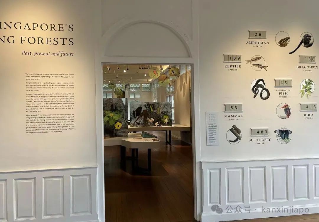 新加坡植物园里典雅大气的黑白屋，原来长这样