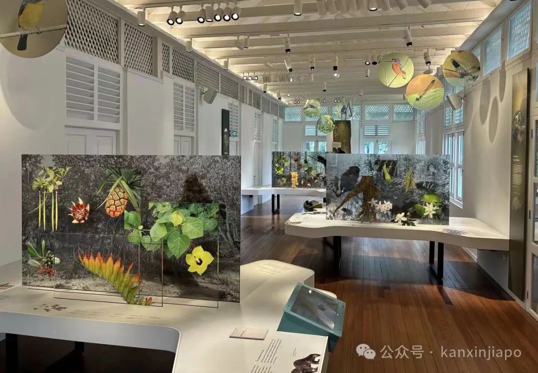 新加坡植物园里典雅大气的黑白屋，原来长这样