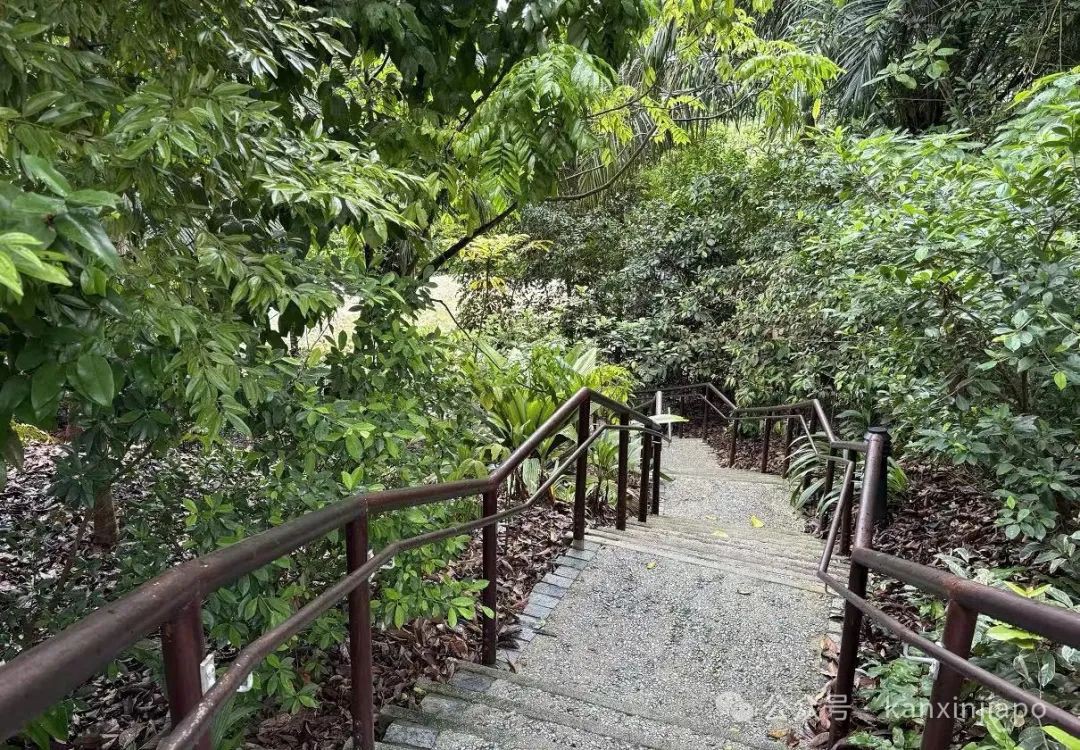 新加坡植物园里典雅大气的黑白屋，原来长这样