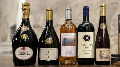 维罗内利葡萄酒指南：年度最佳品酒佳酿 Giulio Ferrari Riserva del Fondatore 2015、Sassicaia 2021 和 Costa d'Amalfi Rosato 2023