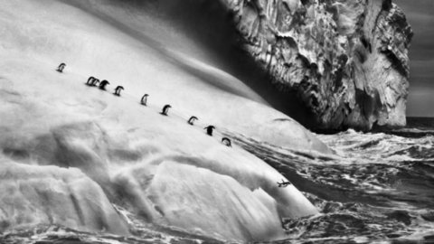 罗马，在 Ara Pacis 200 上由巴西摄影师 Sebastião Salgado 拍摄的照片